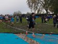 IMG-20221117-WA0003