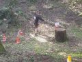 IMG-20220401-WA0032